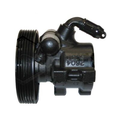 Bomba hidráulica Citroën Xsara (N1) · BRCI006114B