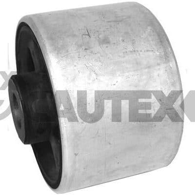 Suspensión, Brazo Oscilante Renault Laguna III · 021489