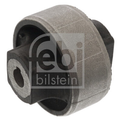 Suspensión, Brazo Oscilante Fiat 500L · 100922