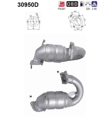 Catalizador Nissan Interstar · 30950D