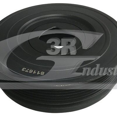Polea, Cigüeñal Renault Master III Caja/chasis · 10666