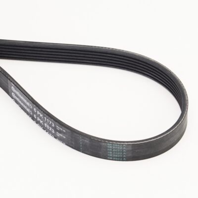 Correa Trapecial Poli V Dacia Duster · 6PK1173