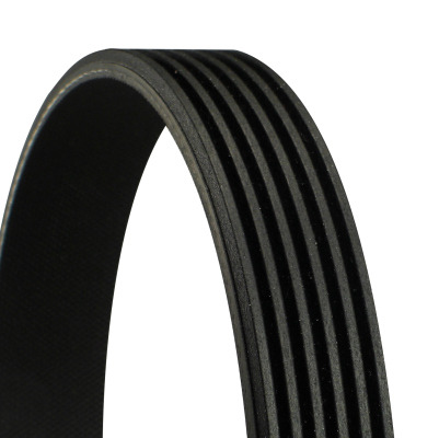Correa Trapecial Poli V Audi A4 B8 · 6PK1264