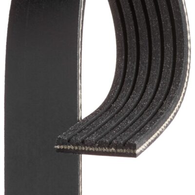 Correa Trapecial Poli V Ssangyong Korando · 6PK1980