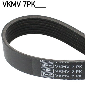 Correa Trapecial Poli V Nissan Navara NP300 · VKMV 7PK1732