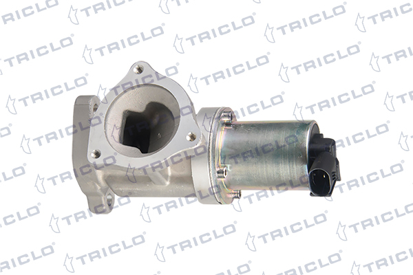 Válvula Egr Kia Carens III Monospace · 346822