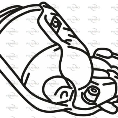 Filtro de partículas Toyota Auris · P8956DPF